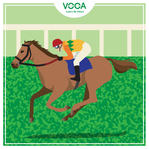 horse racing horse racing